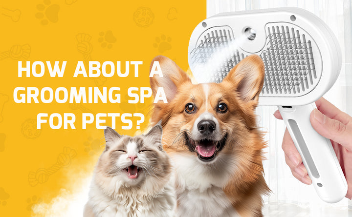 Self-Cleaning Steam Pet Grooming Brush